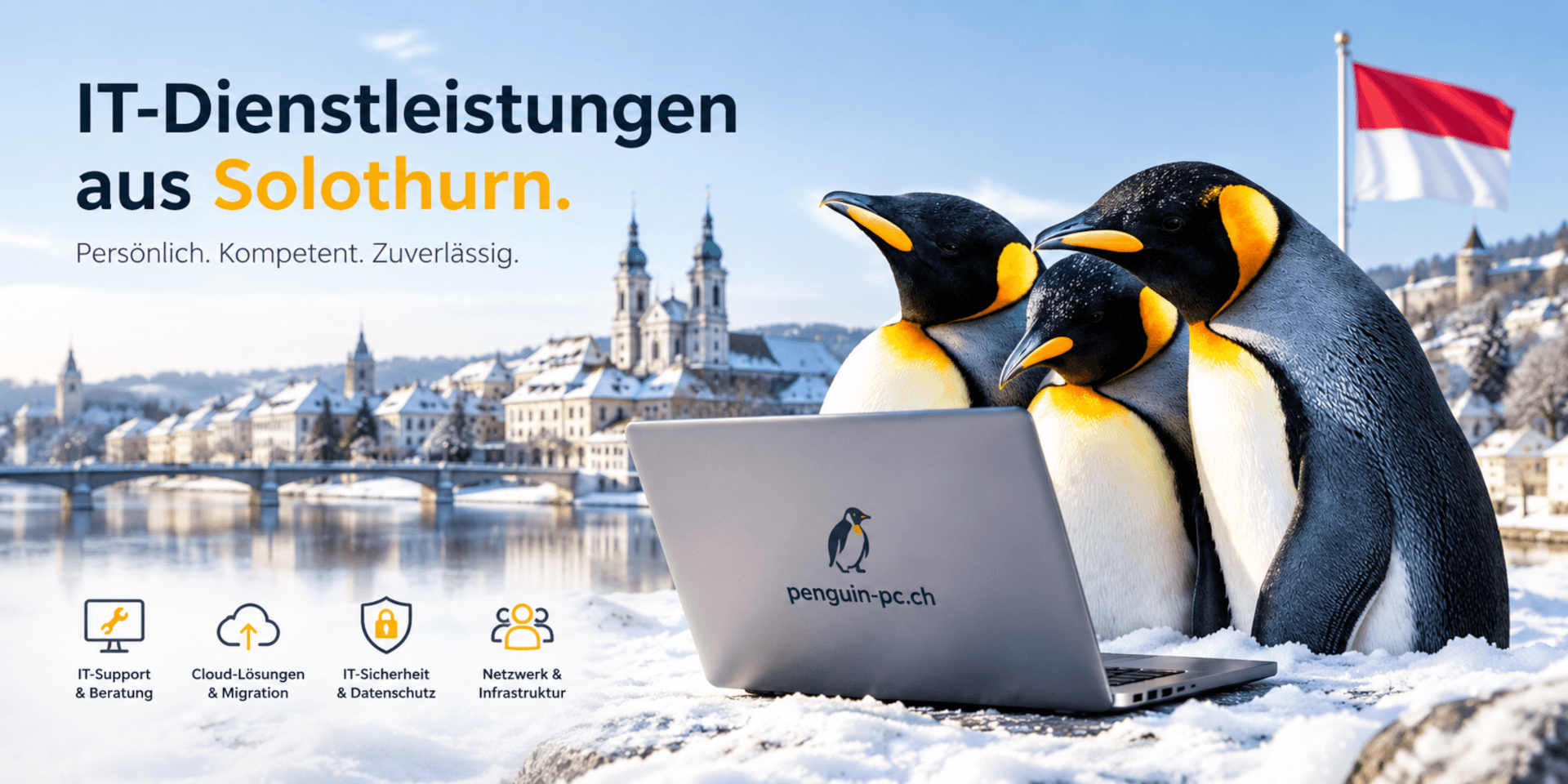 IT-Support, Netzwerke & PC-Reparatur Solothurn